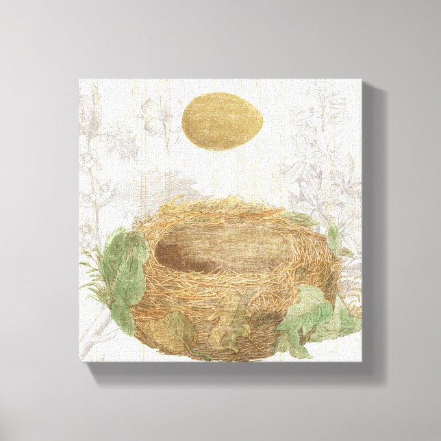 A Bird's Nest with a Brown Egg Canvas Print (Front)