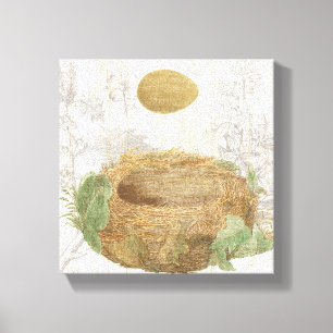 A Bird's Nest with a Brown Egg Canvas Print