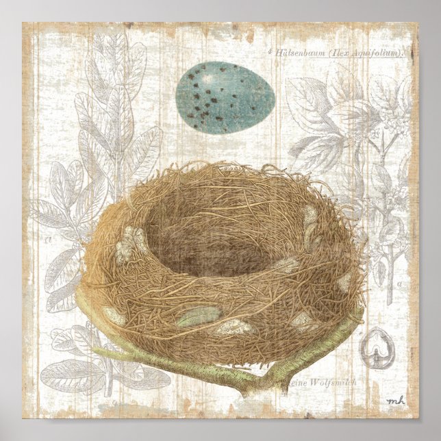 A Bird's Nest with a Decorative Egg Poster (Front)