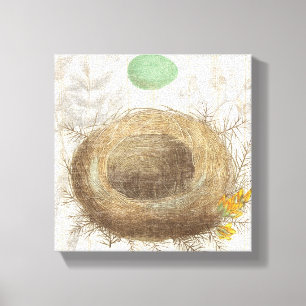 A Bird's Nest with a Green Egg Canvas Print
