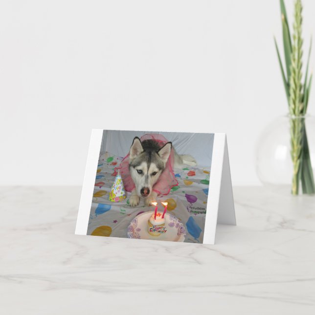 A Birthday Card featuring an adorable dog (Front)