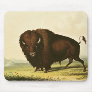 A Bison, c.1832 Mouse Mat