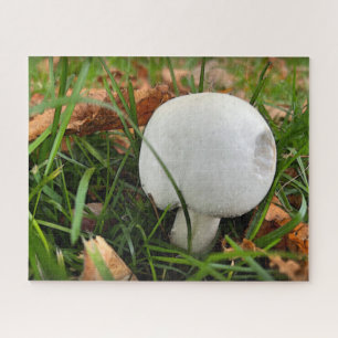 A bitten mushroom jigsaw puzzle