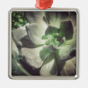 A Black and Green Hen and Chicks Plant Metal Tree Decoration