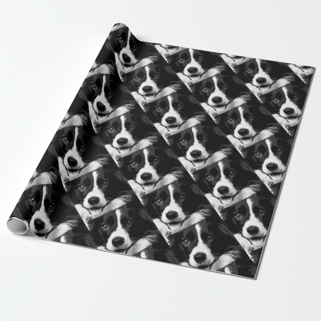 A black and white Border collie Wrapping Paper (Unrolled)