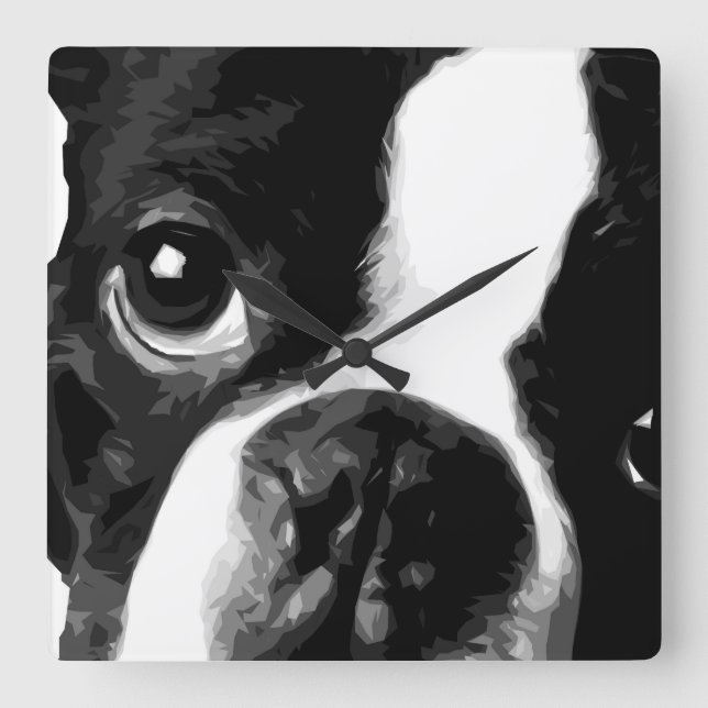 A black and white Boston terrier Square Wall Clock (Front)