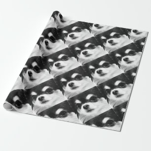 A black and white Chihuahua Wrapping Paper