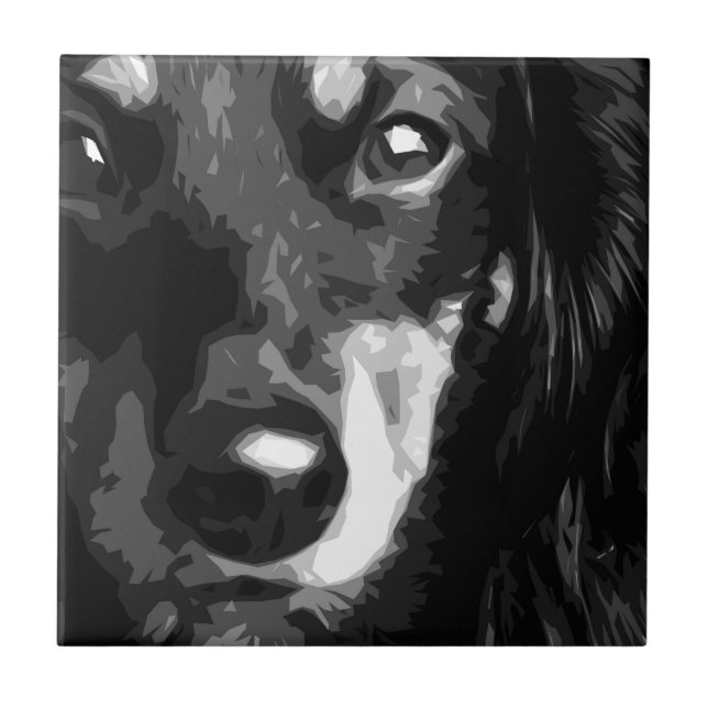 A black and white Miniature Dachshund Tile (Front)