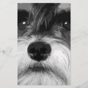 A black and white Miniature Schnauzer Stationery