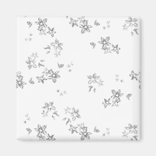 a black and white photo of bubbles on a white back magnet