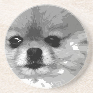 A black and white Pomeranian Coaster