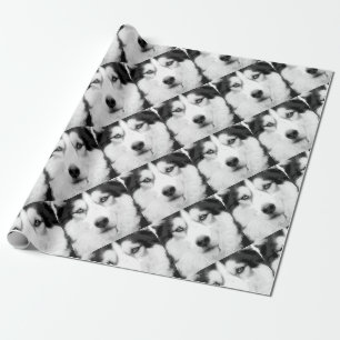 A black and white Siberian husky Wrapping Paper