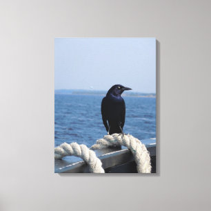 A Black Bird on the Ferry Canvas Print