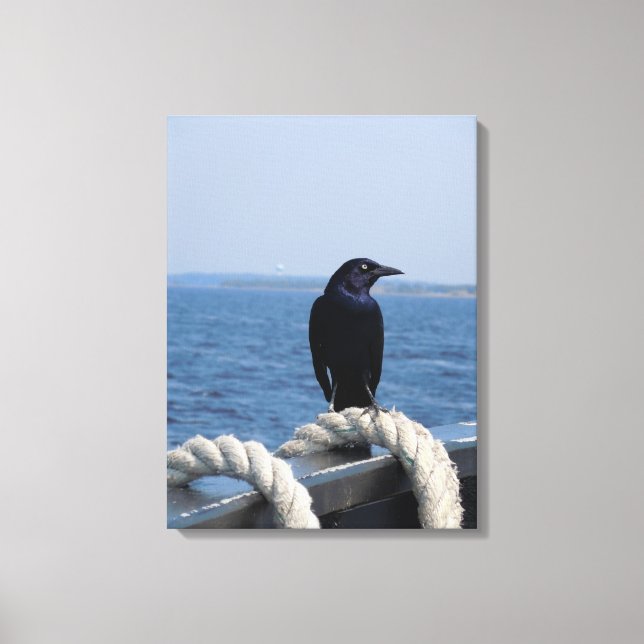A Black Bird on the Ferry Canvas Print (Front)