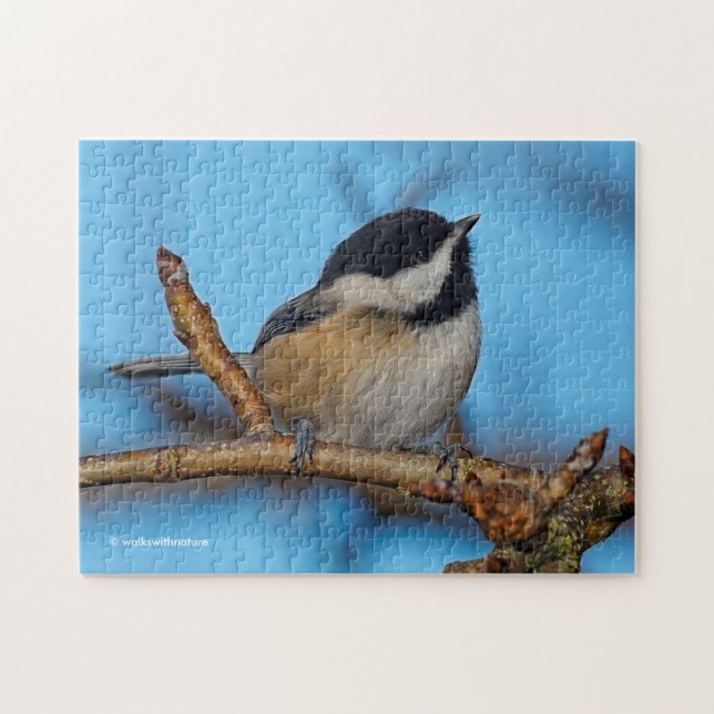 A Black-Capped Chickadee on the Pear Tree Jigsaw Puzzle (Horizontal)
