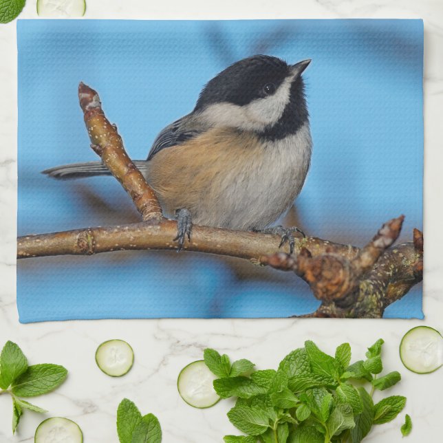 A Black-Capped Chickadee on the Pear Tree Tea Towel (Folded)