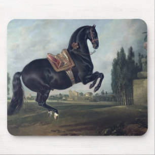 A black horse performing the Courbette Mouse Mat