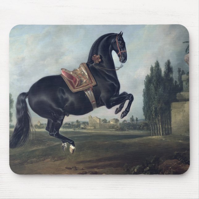 A black horse performing the Courbette Mouse Mat (Front)