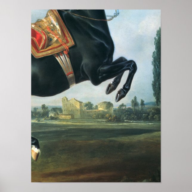 A black horse performing the Courbette Poster (Front)