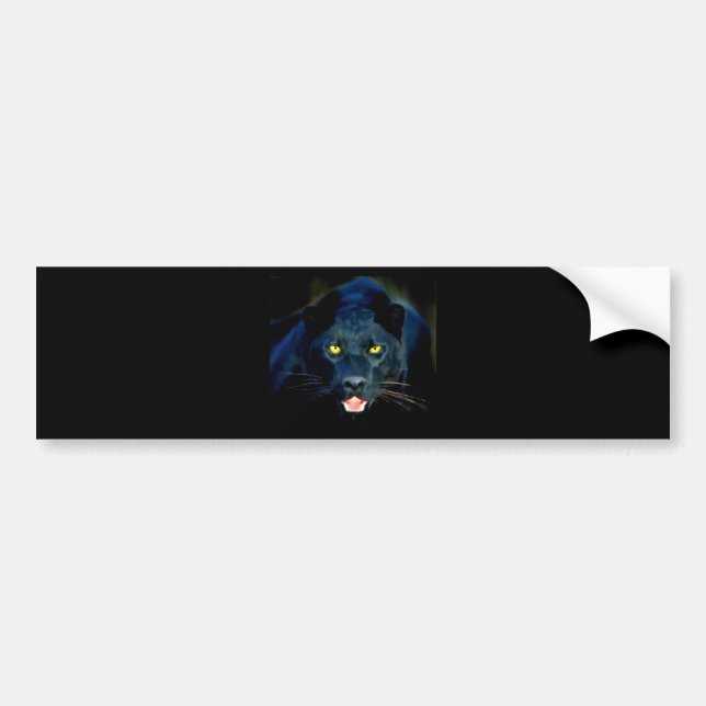 A Black Panther Bumper Sticker (Front)