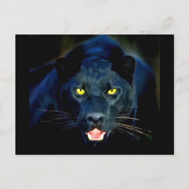 A Black Panther Postcard (Front)