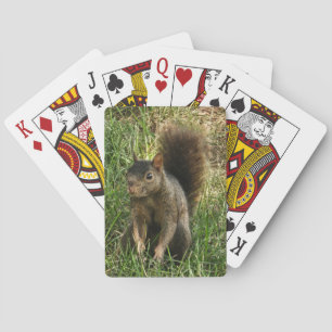 A black squirrel playing cards