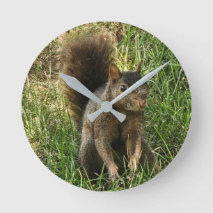 A black squirrel round clock