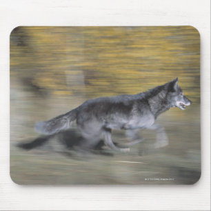 A black wolf on the run mouse mat