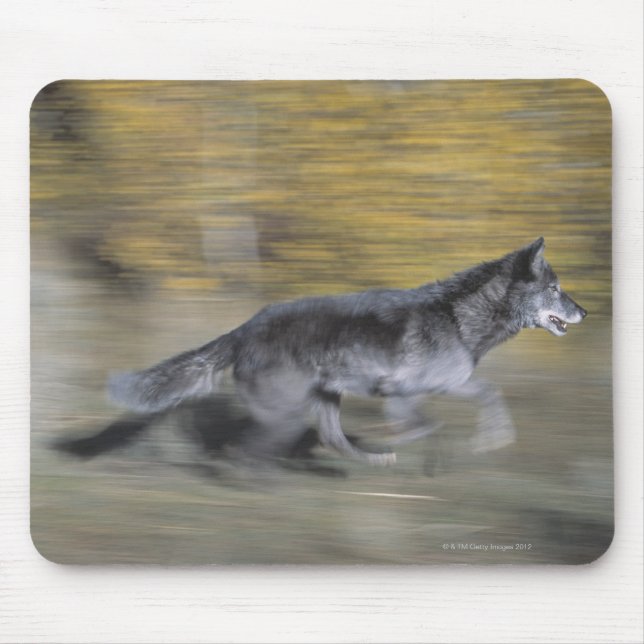 A black wolf on the run mouse mat (Front)