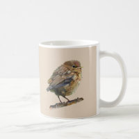 A blackbird fledgling 