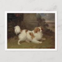 A Blenheim Spaniel, c.1820-30 (oil on canvas)