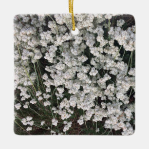 A Blooming California: California Buckwheat  Ceramic Ornament