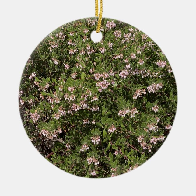 A Blooming California: Manzanita Ceramic Tree Decoration (Front)