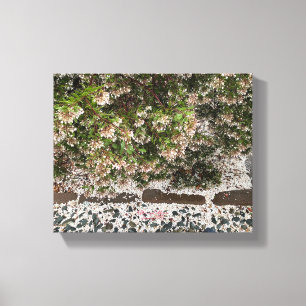 A Blooming California: Manzanita Snow Canvas Print