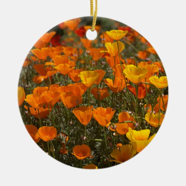 A Blooming California: Poppies Ceramic Tree Decoration (Front)