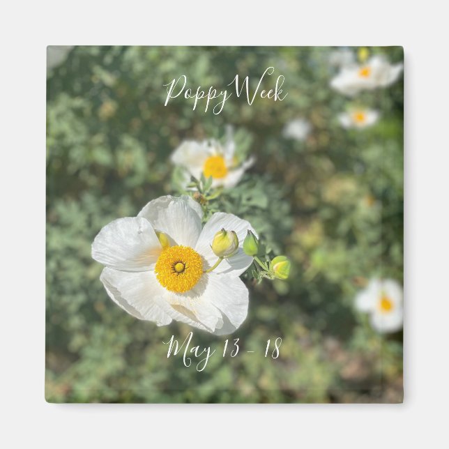 A Blooming California: Poppy Week Magnet (Front)