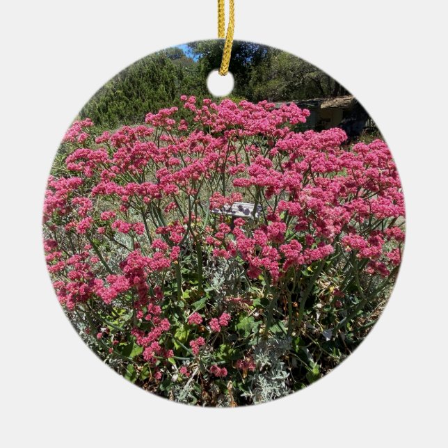 A Blooming California: Red-flowered Buckwheat Ceramic Tree Decoration (Front)