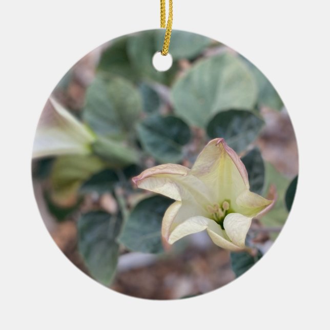 A Blooming California: Sacred Datura Ceramic Ornam Tree Decoration (Front)