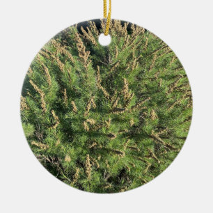 A Blooming California: Sagebrush Ceramic Ornament