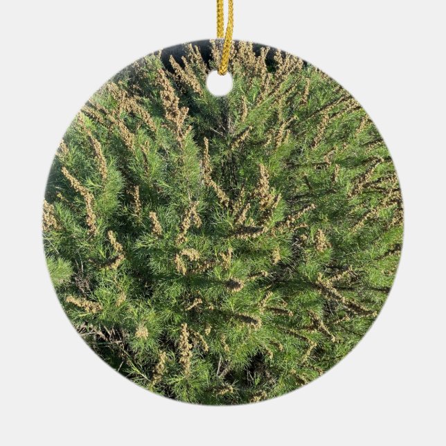 A Blooming California: Sagebrush Ceramic Ornament (Front)