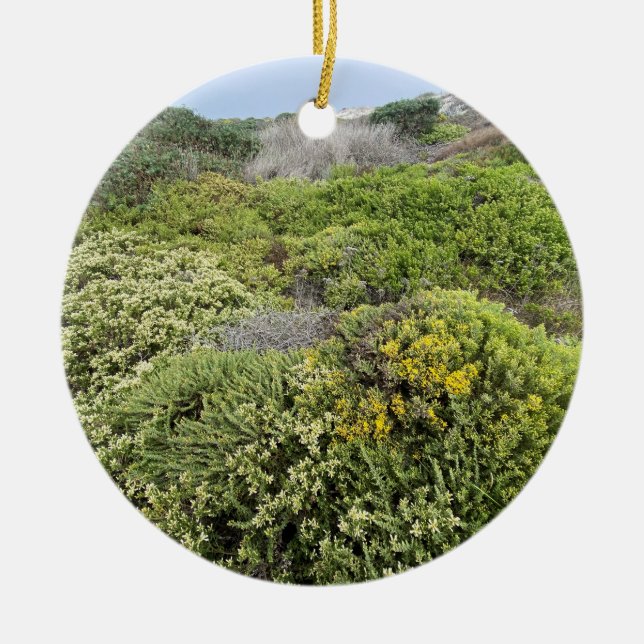A Blooming California: Sea Cliff Buckwheat Ceramic Tree Decoration (Front)