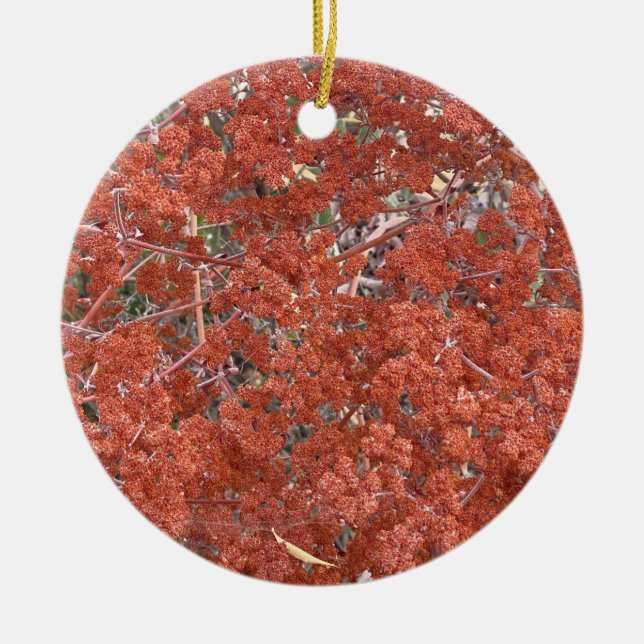 A Blooming California: St. Catherine's Lace Ceramic Tree Decoration (Front)