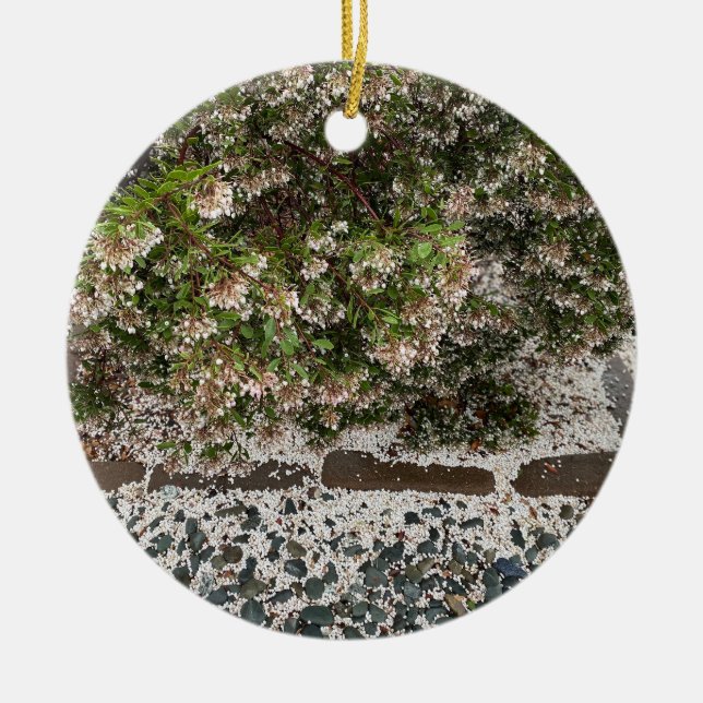 A Blooming California: Viva Manzanita! Ceramic Tree Decoration (Front)