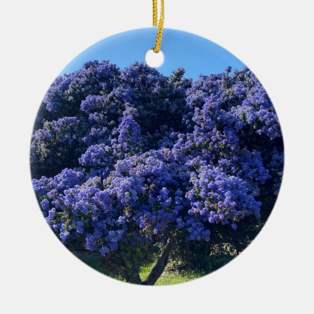 A Blooming California: Wild Lilac Ceramic Tree Decoration (Front)