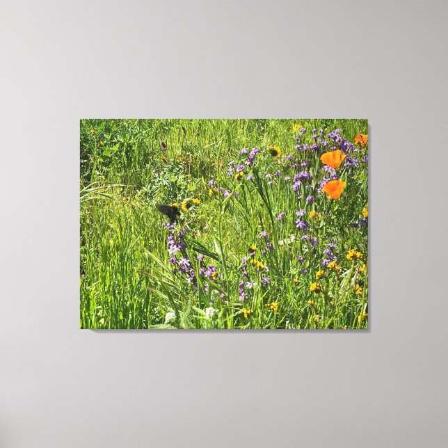 A Blooming California: Wildflowers Canvas Print (Front)
