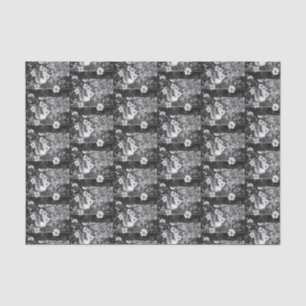 A blue and white pot of wild daisies on a shelf ti tissue paper