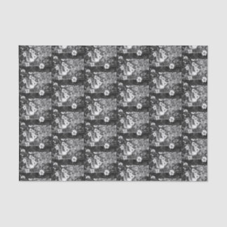 A blue and white pot of wild daisies on a shelf ti tissue paper