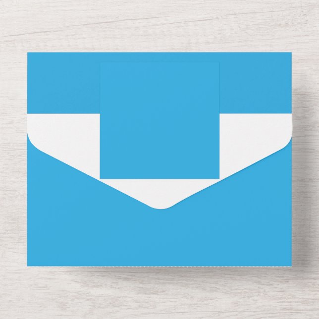 a blue background with a black and white cat all in one invitation (Back)