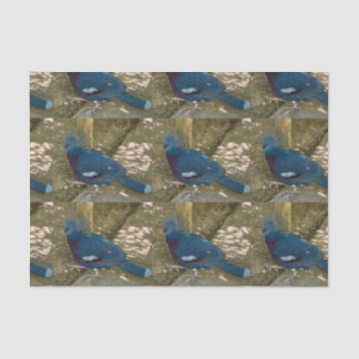 A Blue Bird tissue paper