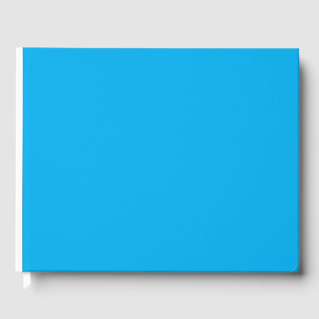 a blue sky with a plane  guest book (Front)